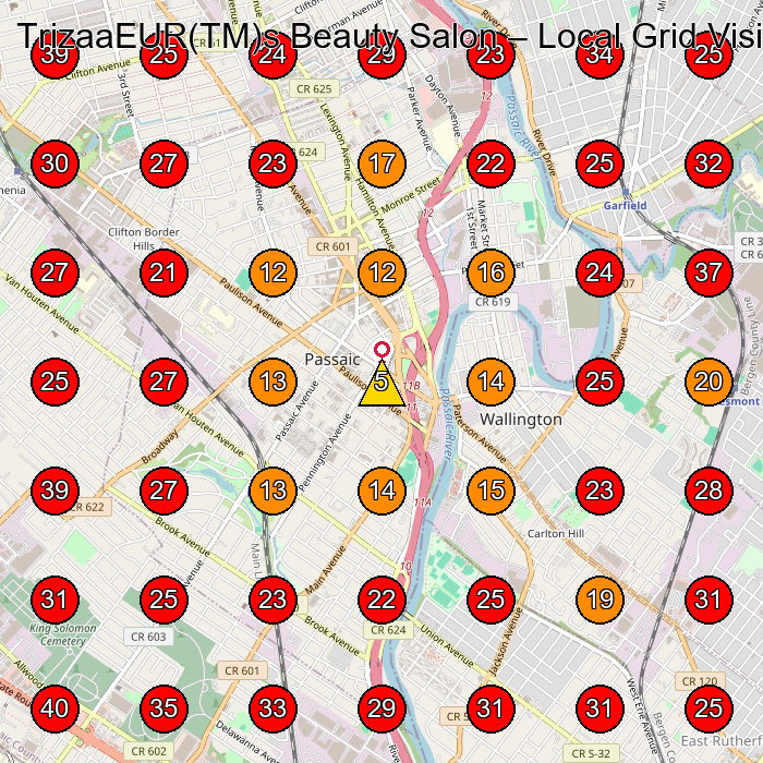 TrizaaEUR(TM)s Beauty Salon GeoGrid visibility map for Beauty Salon in Clifton